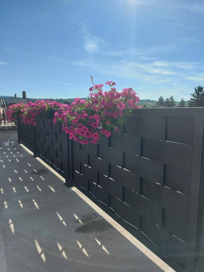 Harmonija Lux Apartment Vrdnik Luaran gambar